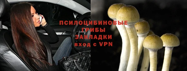 мет Балахна