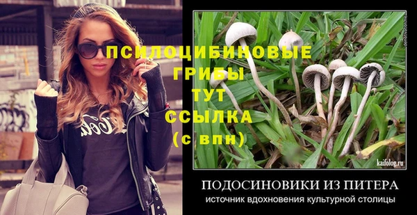 mdpv Баксан